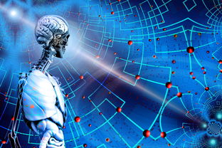 智能体育装备数据分析应用,体育运动智能