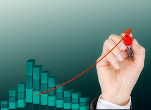 运动项目职业路径设计与发展研究，运动职业化